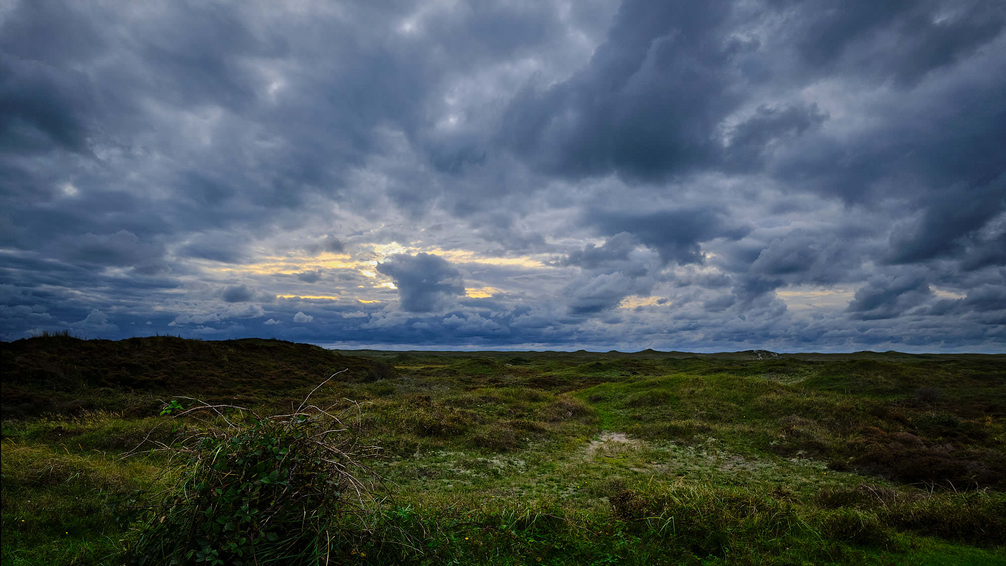 Niederlande - Texel / Netherlands - Texel